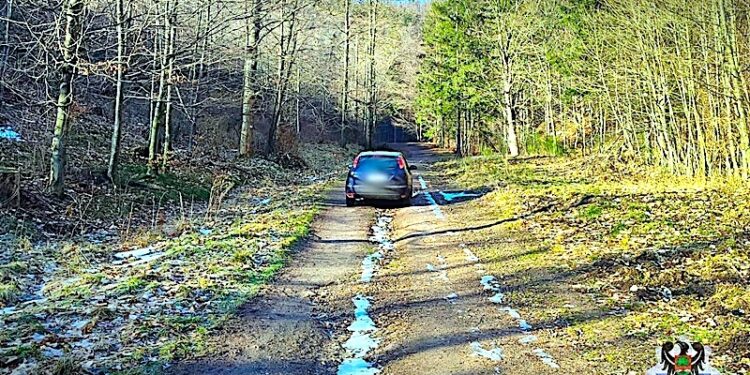 Ucieczka ulicami miasta