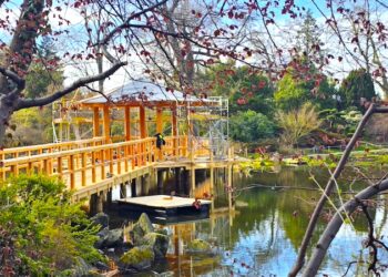 Do Ogrodu Japońskiego