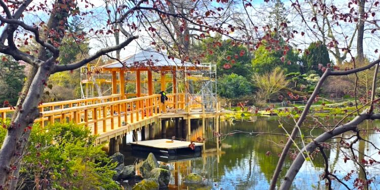 Do Ogrodu Japońskiego