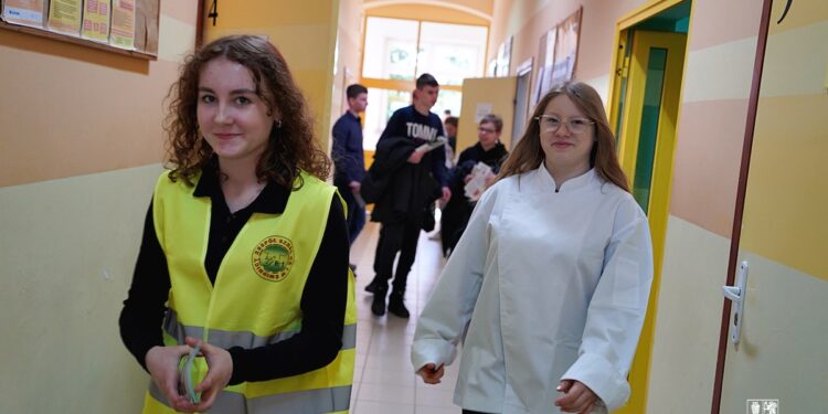 Jaką szkołę wybrać