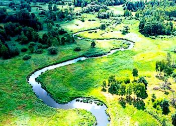 Stan wód powierzchniowych w Polsce