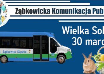 Ząbkowicka Komunikacja Publiczna kursy