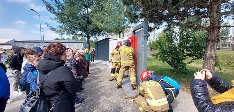 Młodzież Zapobiega Pożarom