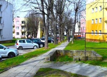 Osiedle Kolorowe będzie bardziej zielone