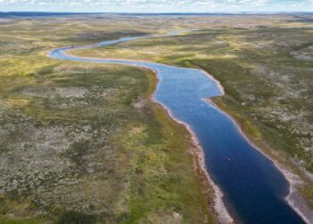 Przemierzyli kanadyjską dzicz