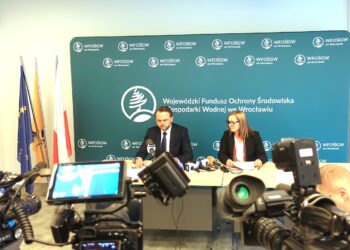 Rozwój oferty programowej