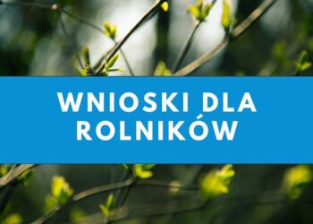 Szacowanie szkód po przymrozkach