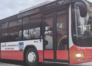 Transport komunalny dla wyborców