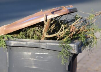 Wyniki badań dzięki segregacji
