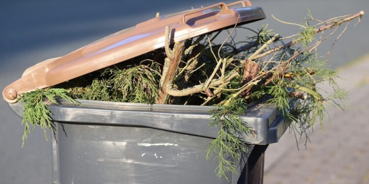 Wyniki badań dzięki segregacji