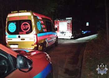 Zagubiony w wielkim parku