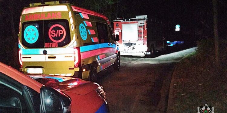 Zagubiony w wielkim parku