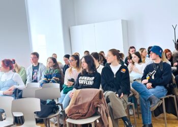 Ziębice i Henryków