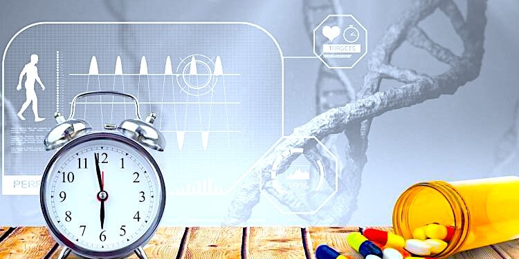 Geny zegara biologicznego