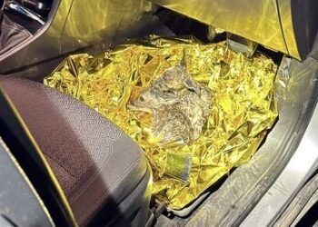 Policjant z Lubania walczył