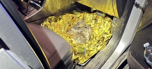 Policjant z Lubania walczył