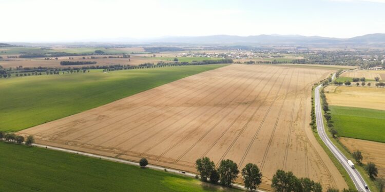 Przetarg na usługę pełnienia funkcji