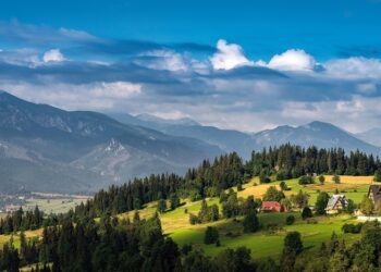 Rekordowa czerwcówka