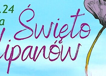 Święto Tulipanów 2024