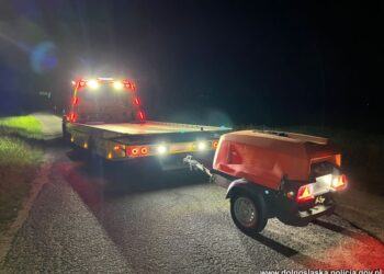 Narkotyki kradzieże i wyłudzenia