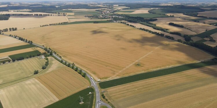 Przetarg na usługę pełnienia