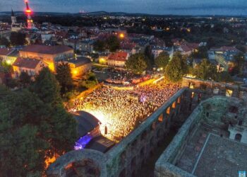 Dziękujemy za liczną