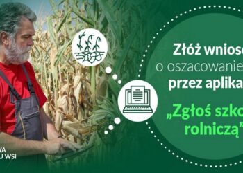 Komunikat dotyczący zgłaszania