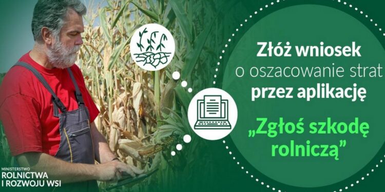 Komunikat dotyczący zgłaszania