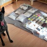 Kontener pełen narkotyków