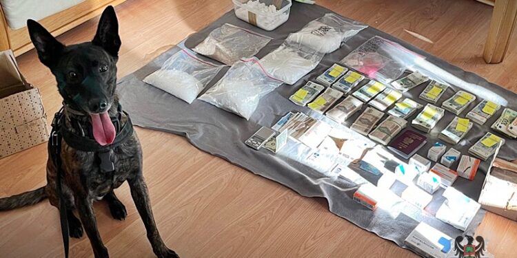 Kontener pełen narkotyków