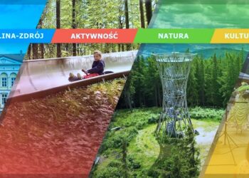 Wieża widokowa na Borowej