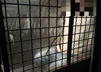 Z trudem utrzymywała się