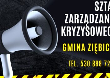 Działania Gminy Ziębice w związku