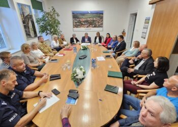 Dzierżoniów w stanie