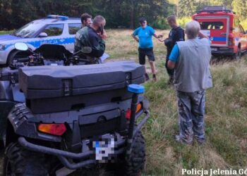 Senior wybrał się na grzybobranie