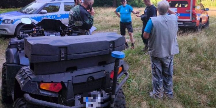 Senior wybrał się na grzybobranie