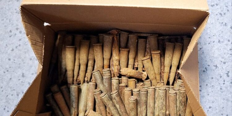 Kradł prąd i miał