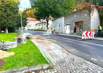 Ma być bezpieczniej dla pieszych