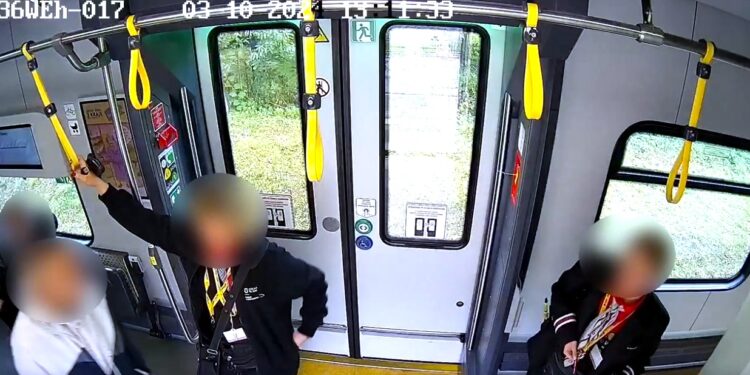 Napad na konduktorkę Kolei Dolnośląskich