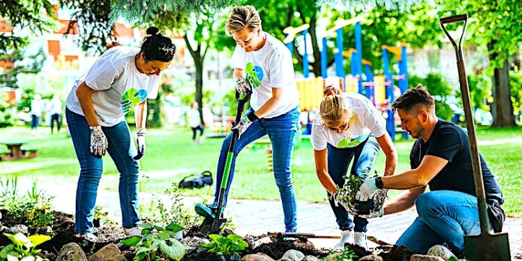 Polskie miasta się zazieleniają