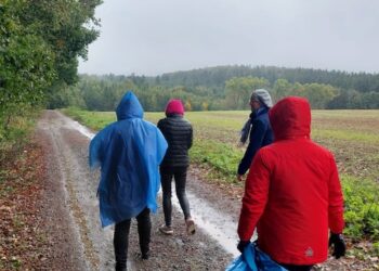 Posprzątaliśmy las