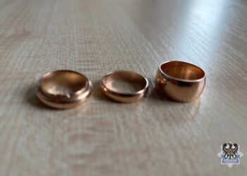 Włamywacz i paser zatrzymani