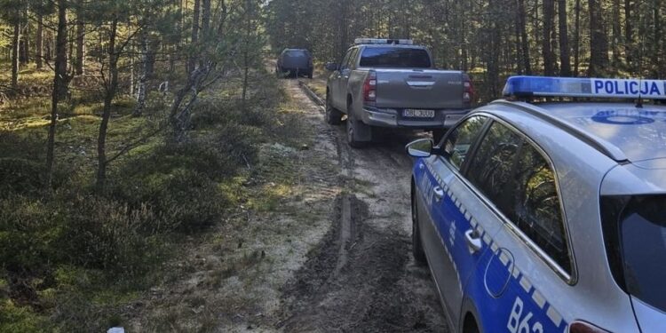 Złodziej torów kolejowych