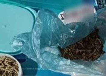 Kolejne narkotyki zabezpieczone