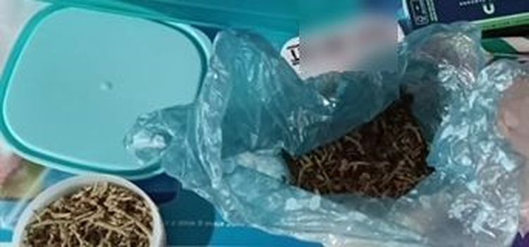 Kolejne narkotyki zabezpieczone