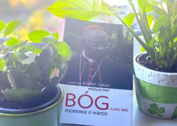 Naszą świadomość opanowało zwątpienie