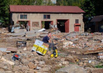 Świadectwo siły natury