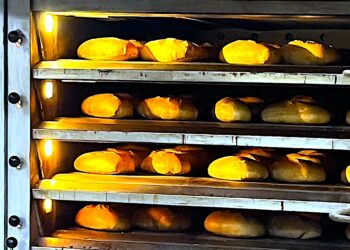 Zaczynali jako mała firma