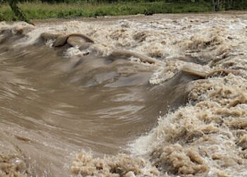 Fundusz wsparcia przedsiębiorstw