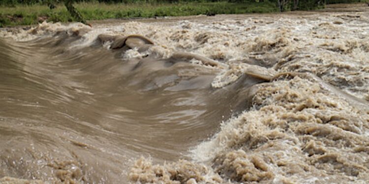 Fundusz wsparcia przedsiębiorstw